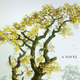 The Magicians by Lev Grossman